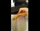 至高のたいやきの動画⑫.mp4 (1080p)