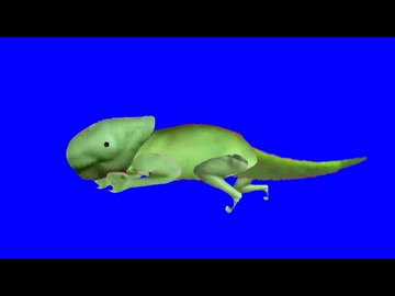 カメレオン先輩BB
