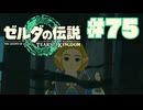【ぽつぽつ実況 #75】イーガ団【ティアーズオブザキングダム】