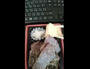 近江の味　網焼き　カルビ弁当の動画②.mp4 (1080p)