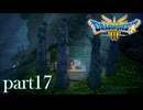 ロトの伝説、ここに始まる。【ドラゴンクエストⅢ実況part17】