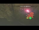 【ブレワイ】依頼を受けて、世界の果てにある落下判定に馬を落としておかしくしてみた【ドリカラ】【ボイスピ実況,ゼルダの伝説,ブレスオブザワイルド,BotW,バグ,検証 】