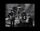 The Beatles - We Can Work It Out
