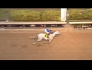 2025 Pegasus World Cup White Abarrio