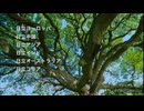 こwのw木wなwんwのw木w