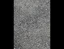 75956462597__3CE71B05-FE8F-426D-8DB2-BED30ADDFE37