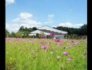 静岡県西部の風景