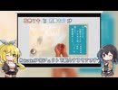 マキ・モカのMakuakeプロジェクト紹介【ShellMagicBath】【VOICEPEAK 】