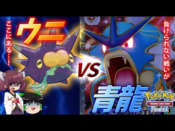 【ポケポケ】バチンウニ VS ギャラドスex【ゆっくり実況・東北きりたん実況】