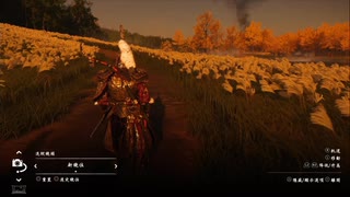 PS4破解版配信-对马岛之魂：导演剪辑版-新游戏+-困难+-第一期 (4)