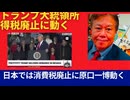アメリカの所得税廃止（トランプ）と日本の消費税廃止（原口一博）