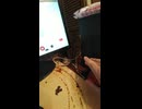 外付けＨＤＤが完全にぶっ壊れました (1080p)