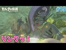 【ゼルダの伝説BotW】初めてのブレワイ！折れない心で未知の世界へ！#19【実況】