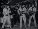 The Troggs - Wild Thing
