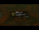 #96【ゼルダの伝説 ティアーズ オブ ザ キングダム】神獣兵装ルーダニアの入手場所はここだ！