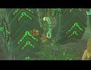 【ティアキン】依頼を受けて、ハテノ村のトマト畑を破壊しつくしたかった【ドリカラ】【ボイスピ実況,ゼルダの伝説,ティアーズオブザキングダム,TotK,バグ,検証 】