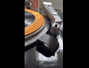Denon DL-301