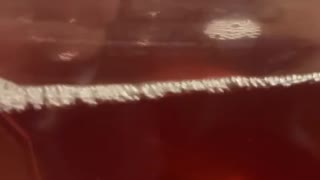 75966313700__253E4518-689F-4F05-B1E3-D537688FD50C