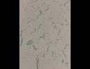 75967060693__8369211D-C920-49B4-8071-31AB049ECB26