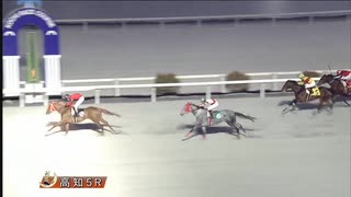 2025年1月26日高知競馬5R A・B混合 グレートヒエン