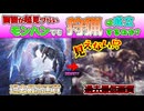 【ほぼモザイク】歴代最高画質のモンハンを最低画質でプレイしてみた結果【モンスターハンター】