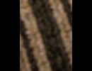 75967683808__67BCB2F7-56B2-4229-A7A4-10D59D1AB857
