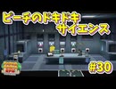 【ペーパーマリオRPG】折れて曲がって丸まって！宝をめぐる大冒険_Part30【実況】