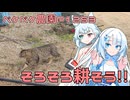 2025年1月27日　農作業日誌P1253　雨が降りそうだけど、降らないから春に向けて畑耕します
