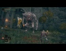#9【ELDEN RING】こいつボスじゃないのかよ！【エルデンリング初見実況】