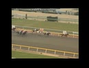 2002 根岸ステークス (GIII)　サウスヴィグラス