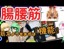 【腸腰筋】機能と役割を覚えて動かしてみよう！