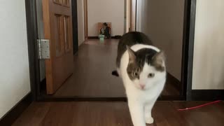 朝活