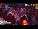 【モンハンワールド/MHW】壁に突き刺さったりへばりついたり【初見マルチプレイ】