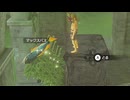 【ブレワイ】依頼を受けて、武器の上に素材を乗せて荒ぶらせたかった【ドリカラ】【ボイスピ実況,ゼルダの伝説,ブレスオブザワイルド,BotW,バグ,検証 】