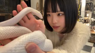へびとうなぁ 2025年1月