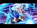 【ドッカンバトル10周年】誇りと約束を守る挑戦 超サイヤ人ゴッドSSベジータ(進化)【LR】バトルモーション