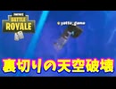【フォートナイト】「天空してたら野良味方に…」