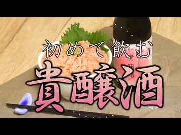 #188_【酒レビュー】業スーの話題のあれ食ってみた【晩酌】