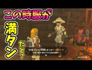 服が満タンの状態で服を貰うと何が起こる？【ティアキン TotK】裏技 バグ 検証 ゆっくり実況 glitch