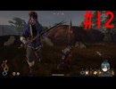 【実況】常に死と隣り合わせの過酷な世界を生き抜く【Outward Definitive Edition】part12