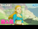 【ゼルダの伝説BotW】初めてのブレワイ！折れない心で未知の世界へ！#20【実況】