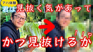 アハ体験アハアハ！！！アハッ!アヘッ！？エヘヘヘヘヘ！！！！？