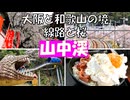 ＪＲ山中渓【紀州街道を彩る桜】線路と川沿いの桜並木、地福寺のしだれ桜、わんぱく王国の恐竜滑り台と桜。大阪と和歌山の境の山中渓は歴史ある町並みと桜を楽しめる必見の桜の名所です。卵かけご飯も是非。