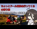 【第２回ナイスビュー投稿祭】ちょっとドール撮影会行ってくる　 の帰り編