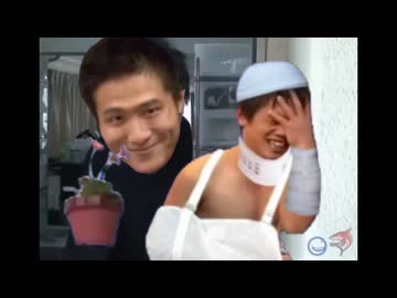 植木鉢ではなくひでを壊してしまったバレーボールくん