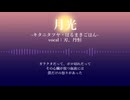 【人力崩スタ】月/光【刃・丹恒】