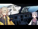 【日本最北端の空港】滑走路800メートルでも着陸するエアライン【MSFS】