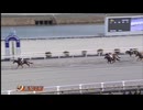 2025年1月29日高知競馬2R ＪＲＡ交流競走 室戸盃(JRA3歳未勝利・3歳C3以下) ピクチャーカード