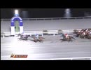 2025年1月29日高知競馬5R ビタミンＳ協賛 竹内夫婦結婚記念特別(C1-5組) フレーズメーカー