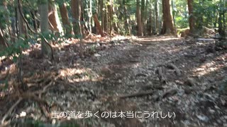 自転車で行く「真冬にいはる市民の森」散策